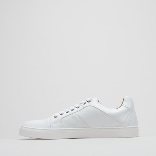 Yuba Lace Up Sneakers White Steve Madden | Price in South ...