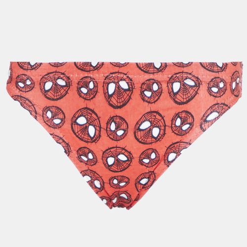Spiderman 3PK Underwear Blue/Red/Navy Character Group