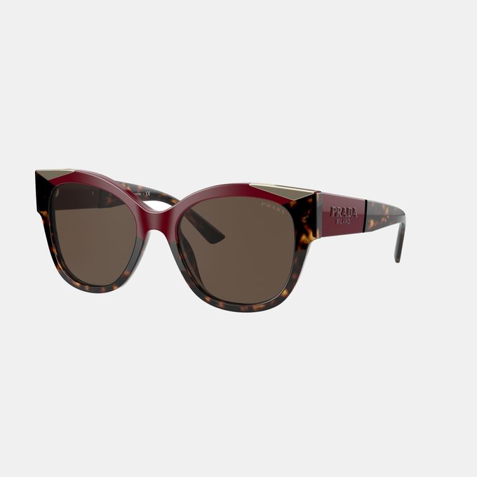 PR 02Ws Dark Brown Sunglasses Prada | South Africa | Zando