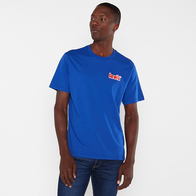 Ss Relaxed Fit Tee Ssnl Poster Surf Blue Levi's® | South Africa | Zando